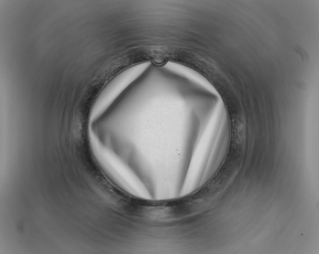 X0000113320266200910051131