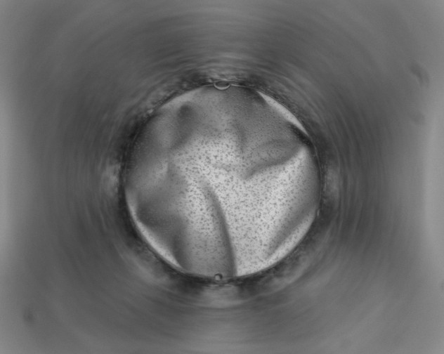 X0000113320271200910051131