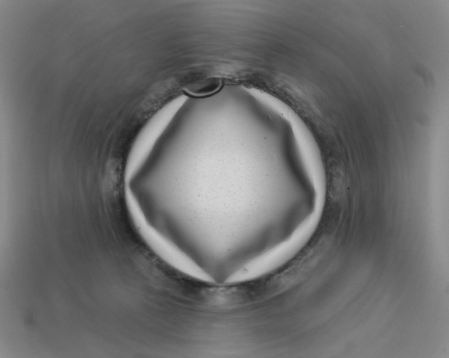 X0000113320273200910051131