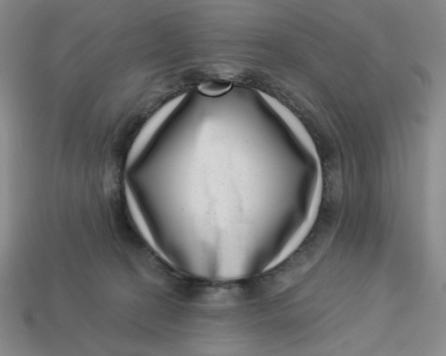 X0000113320274200910051131