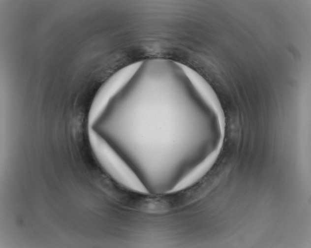 X0000113320275200910051131