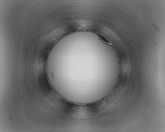 X0000113320276200910051131