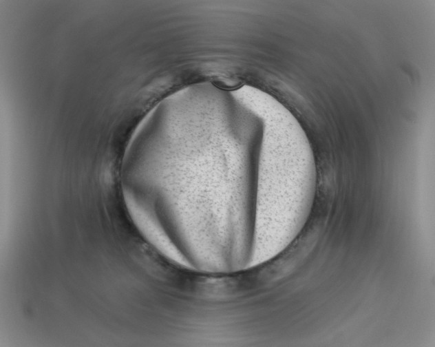 X0000113320277200910051131