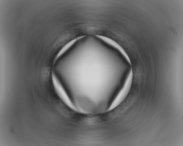 X0000113320278200910051131