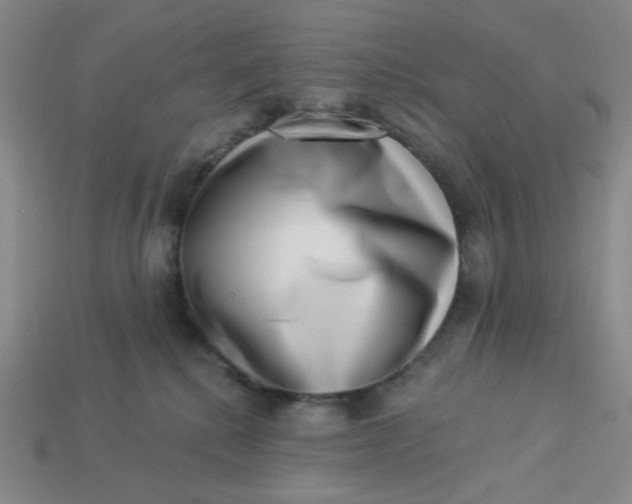 X0000113320280200910051131