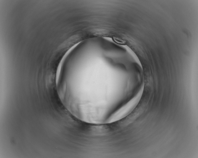 X0000113320281200910051131