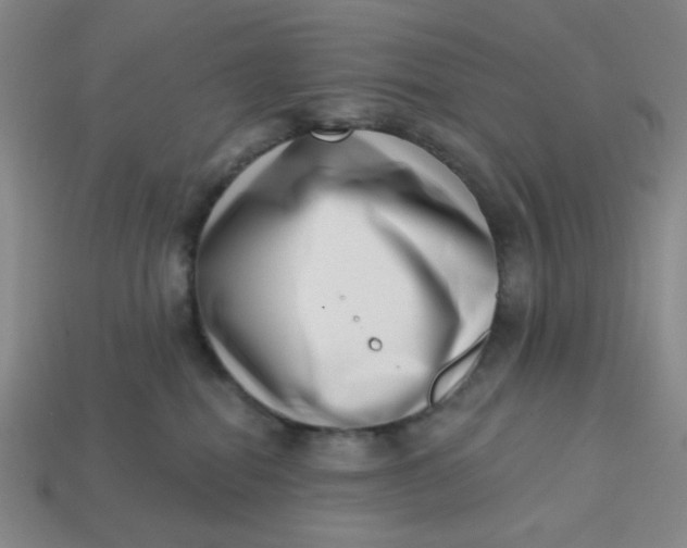 X0000113320282200910051131