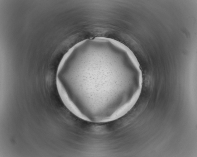 X0000113320283200910051131