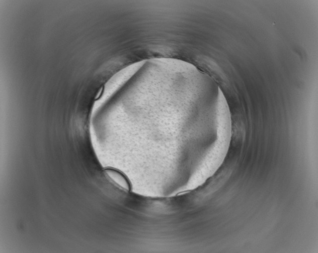 X0000113320285200910051131