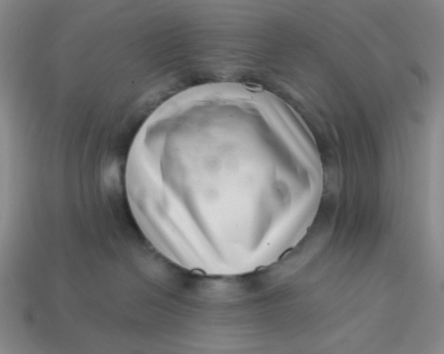 X0000113320286200910051131