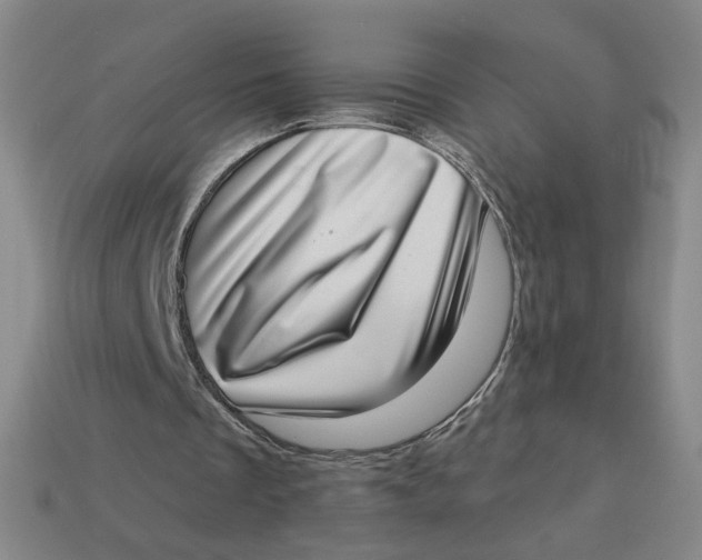 X0000113320289200910051131