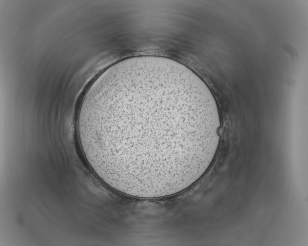 X0000113320290200910051131