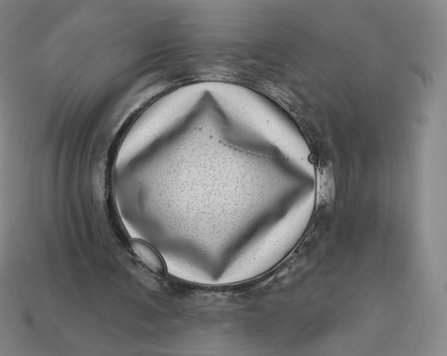 X0000113320291200910051131