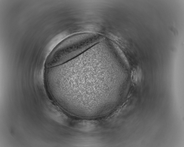 X0000113320292200910051131