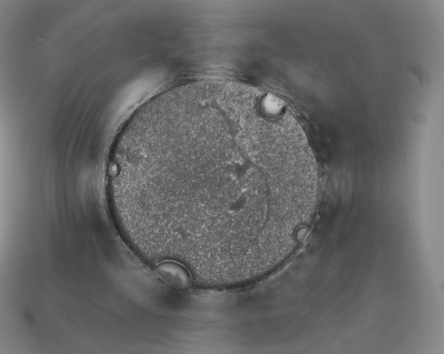 X0000113320293200910051131