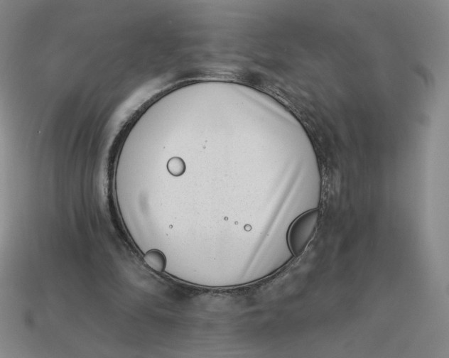 X0000113320294200910051131