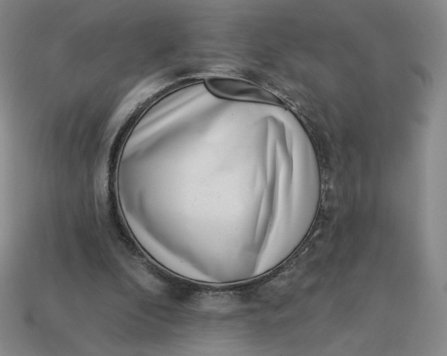 X0000113320296200910051131