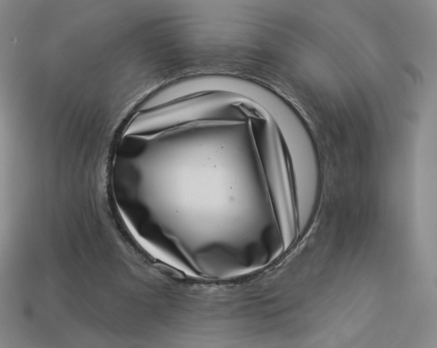 X0000113320297200910051131