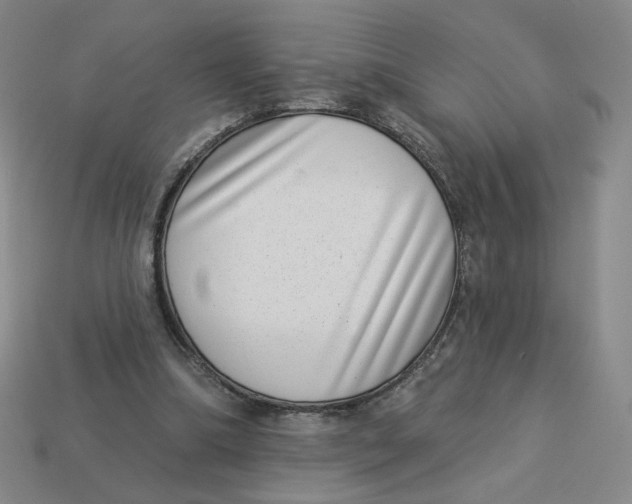 X0000113320298200910051131