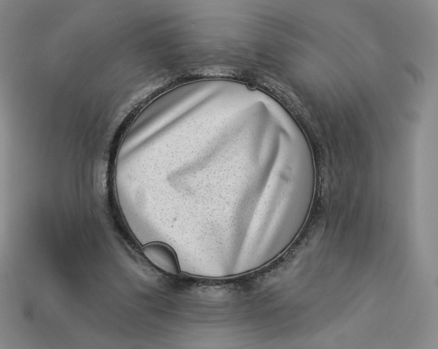 X0000113320299200910051131