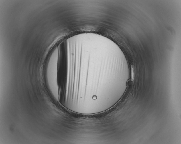 X0000113320300200910051131