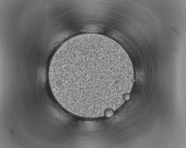 X0000113320302200910051131