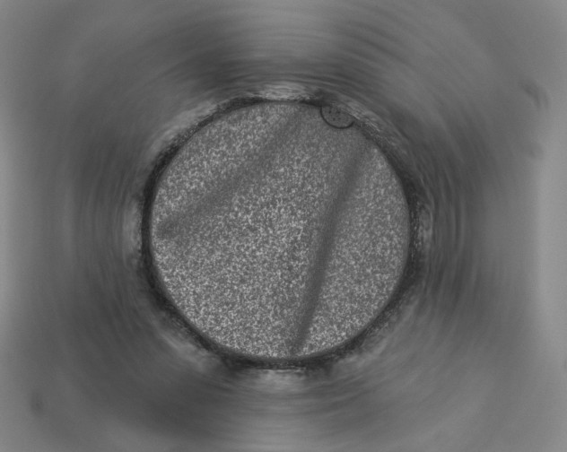 X0000113320303200910051131