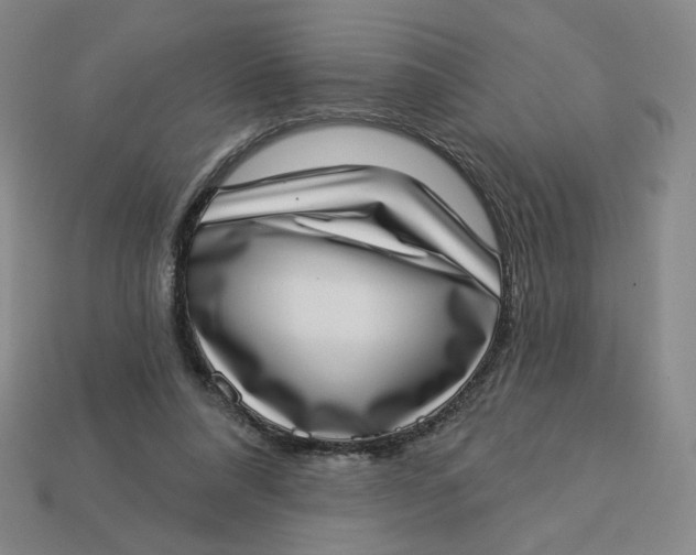 X0000113320304200910051131