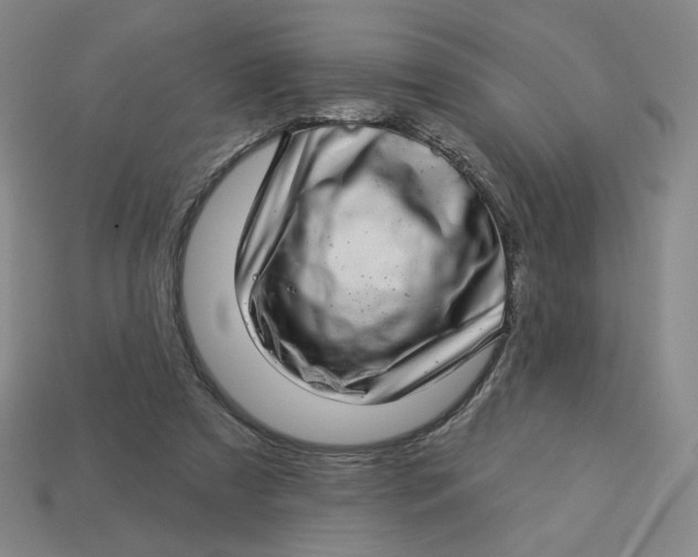 X0000113320305200910051131