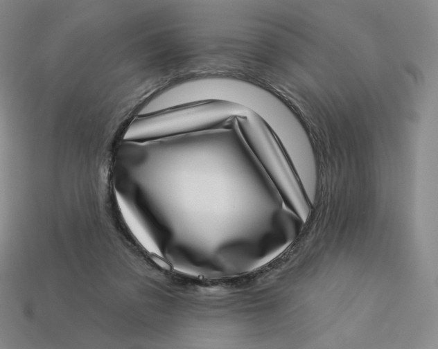 X0000113320309200910051131