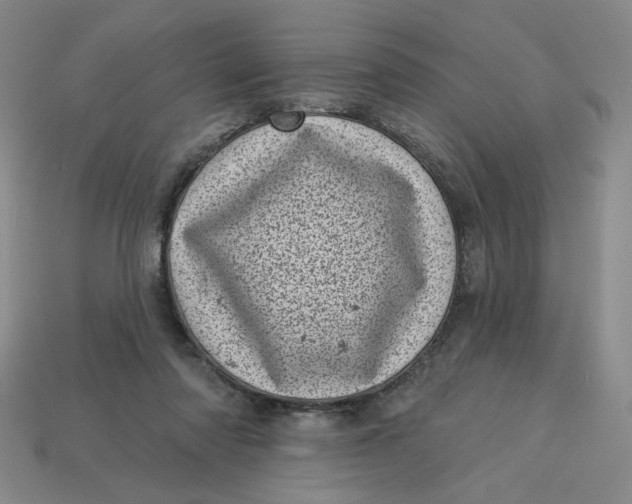 X0000113320310200910051131