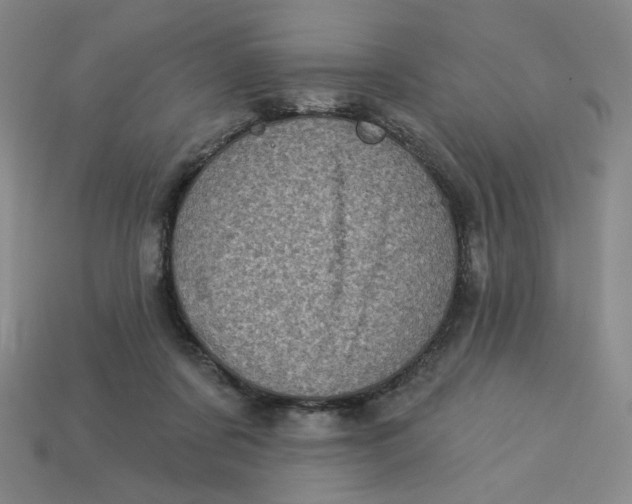 X0000113320311200910051131