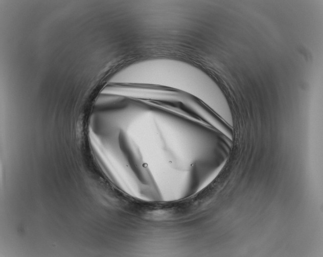 X0000113320312200910051131