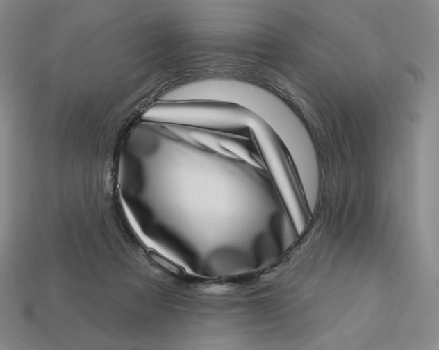 X0000113320313200910051130