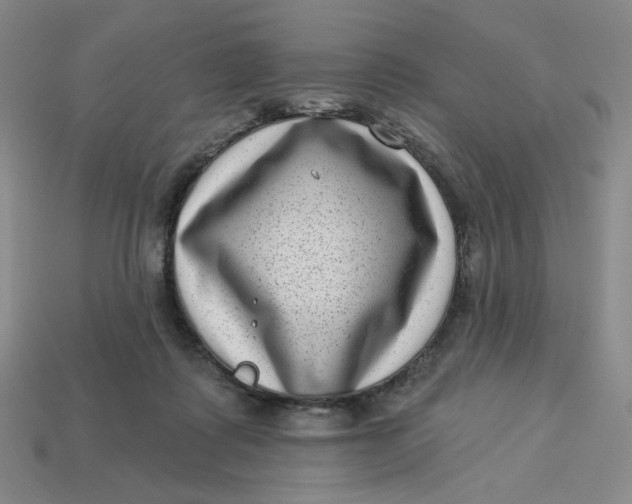 X0000113320315200910051130