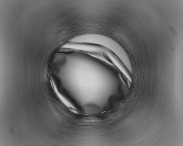 X0000113320316200910051130