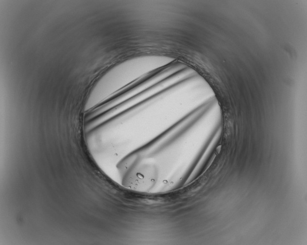 X0000113320317200910051130