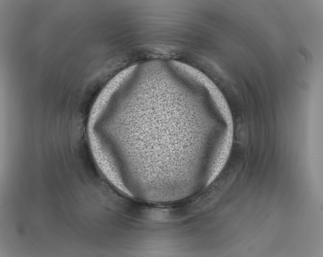 X0000113320318200910051130