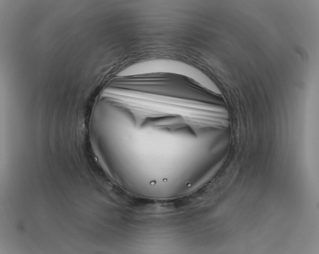 X0000113320320200910051130