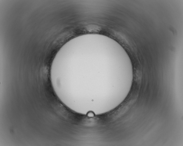 X0000113320321200910051130