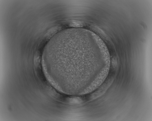 X0000113320322200910051130