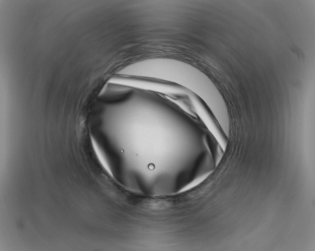 X0000113320327200910051130