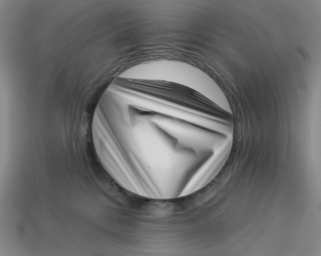 X0000113320328200910051130