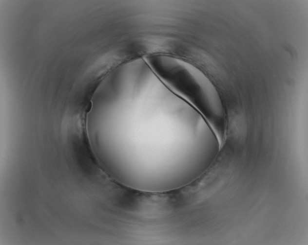 X0000113320329200910051130