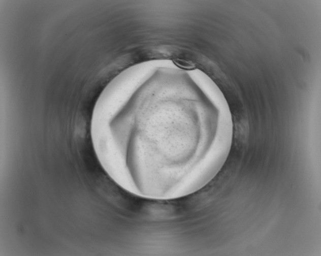 X0000113320331200910051130