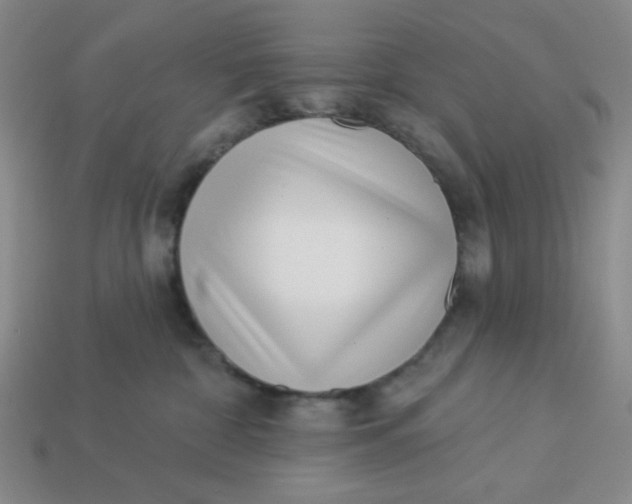 X0000113320332200910051130