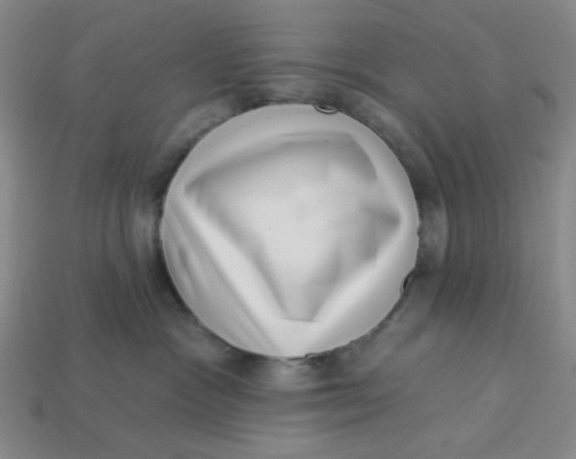 X0000113320333200910051130