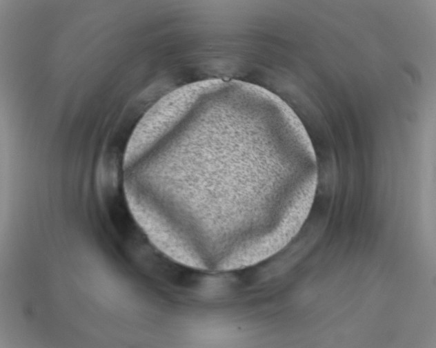 X0000113320334200910051130