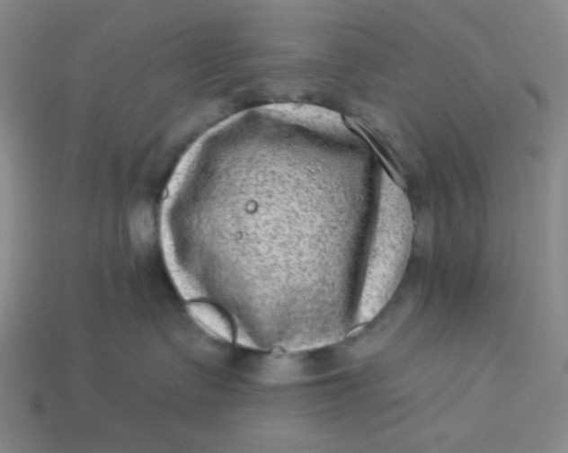 X0000113320335200910051130