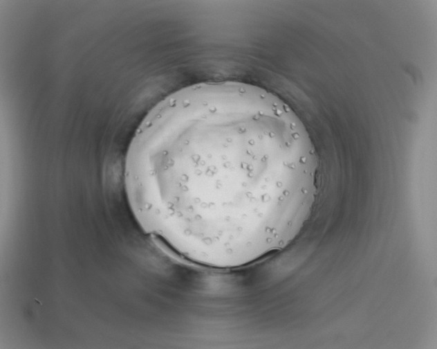 X0000113320336200910051130